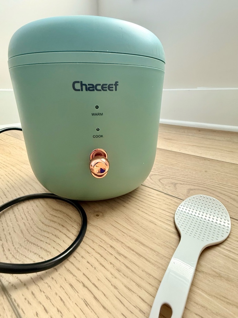 Chaceef Mini Rice Cooker in Mint Green